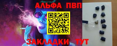 стафф Шебекино