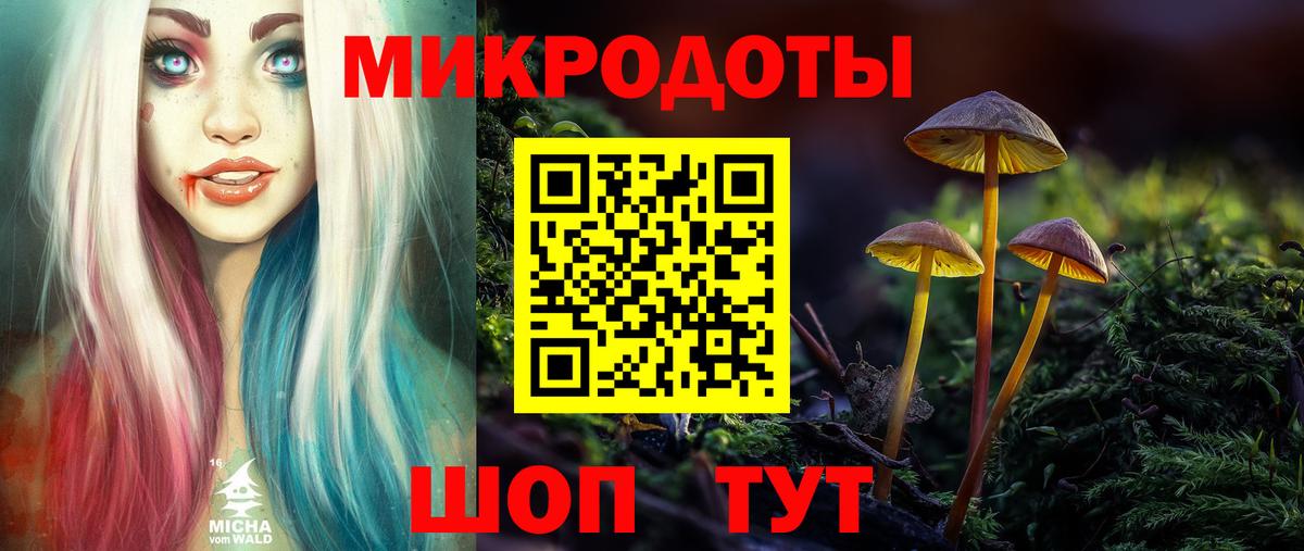 Псилоцибиновые грибы Psilocybine cubensis Туймазы
