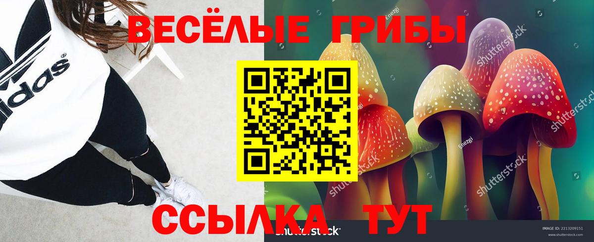 Туймазы  Галлюциногенные грибы прущие грибы  Вход с VPN 